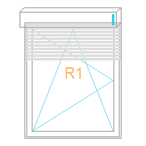R1 R1
